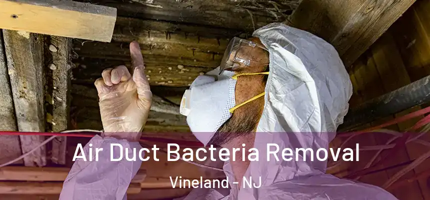  Air Duct Bacteria Removal Vineland - NJ