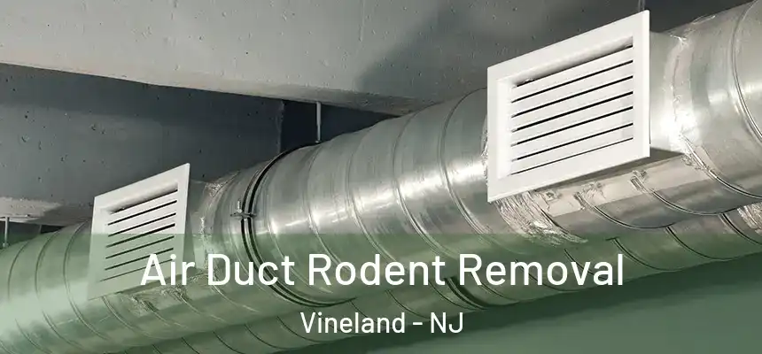  Air Duct Rodent Removal Vineland - NJ