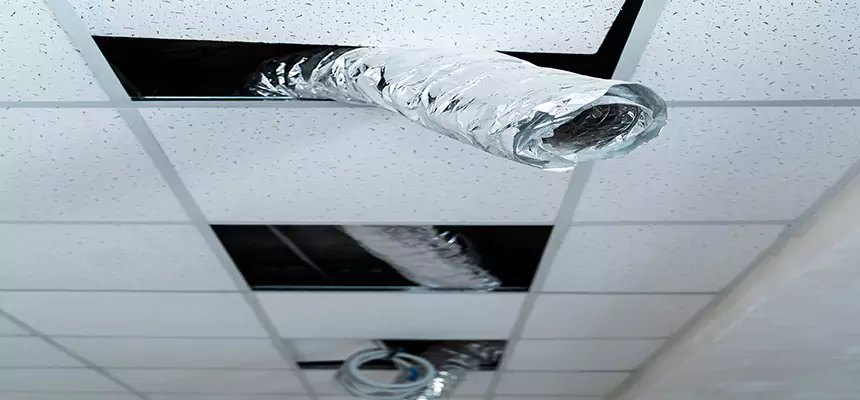 Affordable HVAC Sanitizing After Pest Removal in Vineland