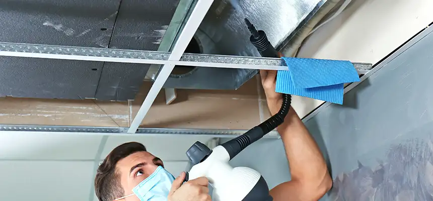 Our Air Duct Rodent Removal Services in Vineland, NJ