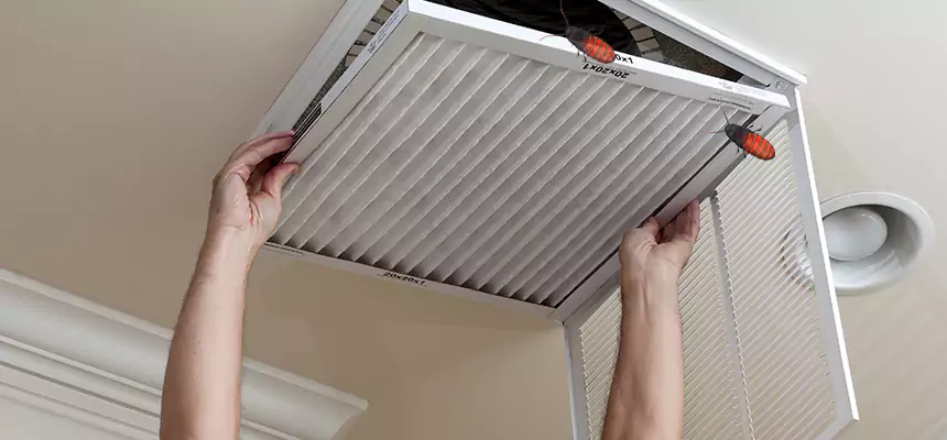 Our Insect Removal from Air Ducts Services in Vineland, NJ