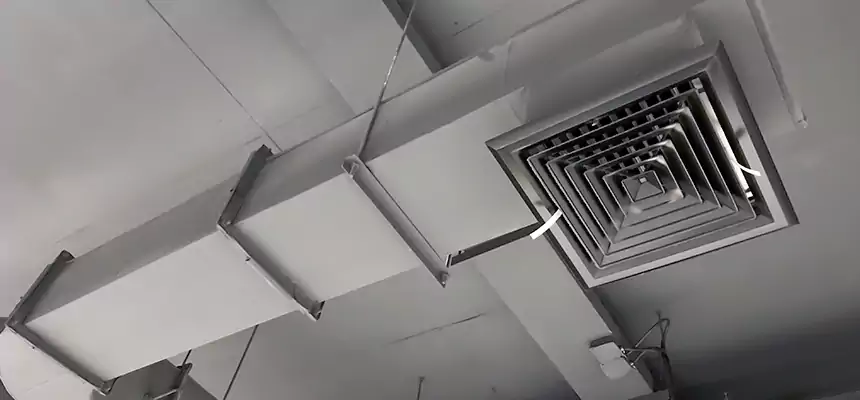 Our Pest Removal From Ducts Services in Vineland, NJ