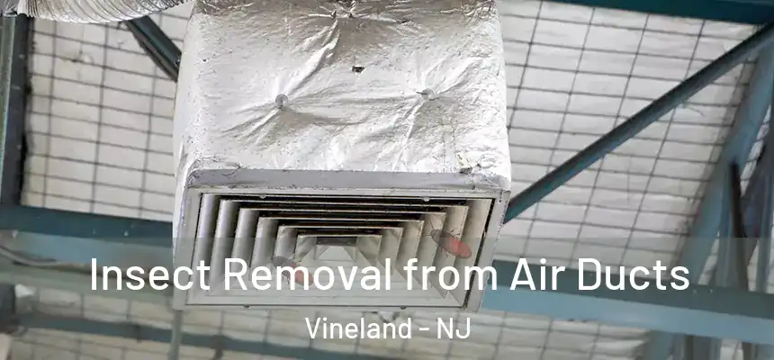 Insect Removal from Air Ducts Vineland - NJ