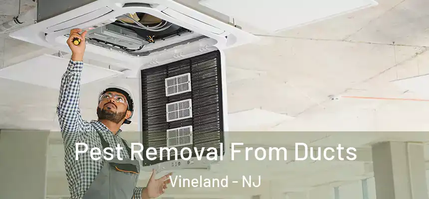 Pest Removal From Ducts Vineland - NJ