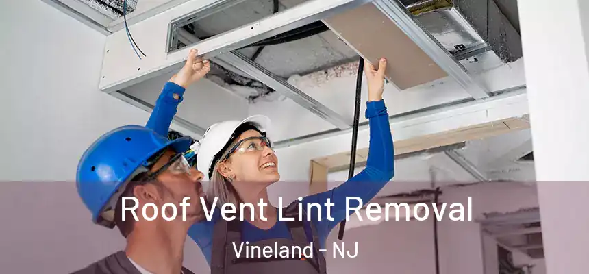  Roof Vent Lint Removal Vineland - NJ