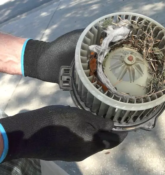 About Air Duct Rat Removal in Vineland, NJ