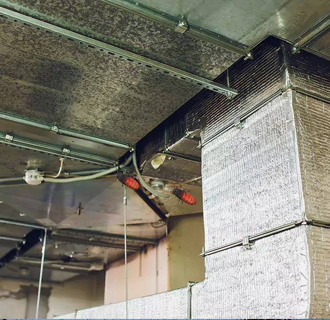 Why Homeowners & Businesses Trust Us in Vineland, NJ?