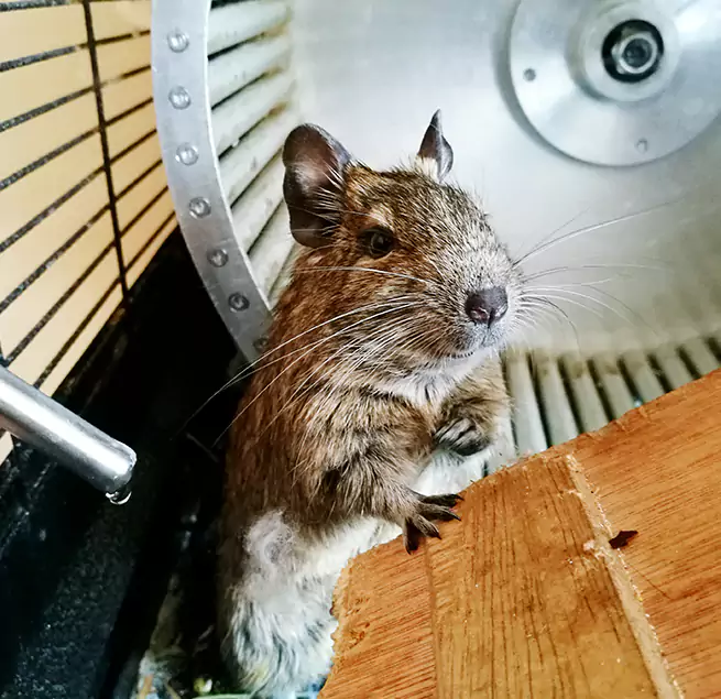 Why Homeowners & Businesses Trust Us Vineland, NJ?