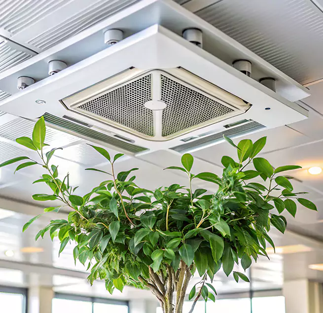 Why Homeowners & Businesses Trust Us in Vineland, NJ?