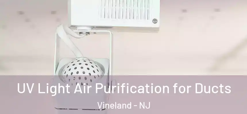  UV Light Air Purification for Ducts Vineland - NJ
